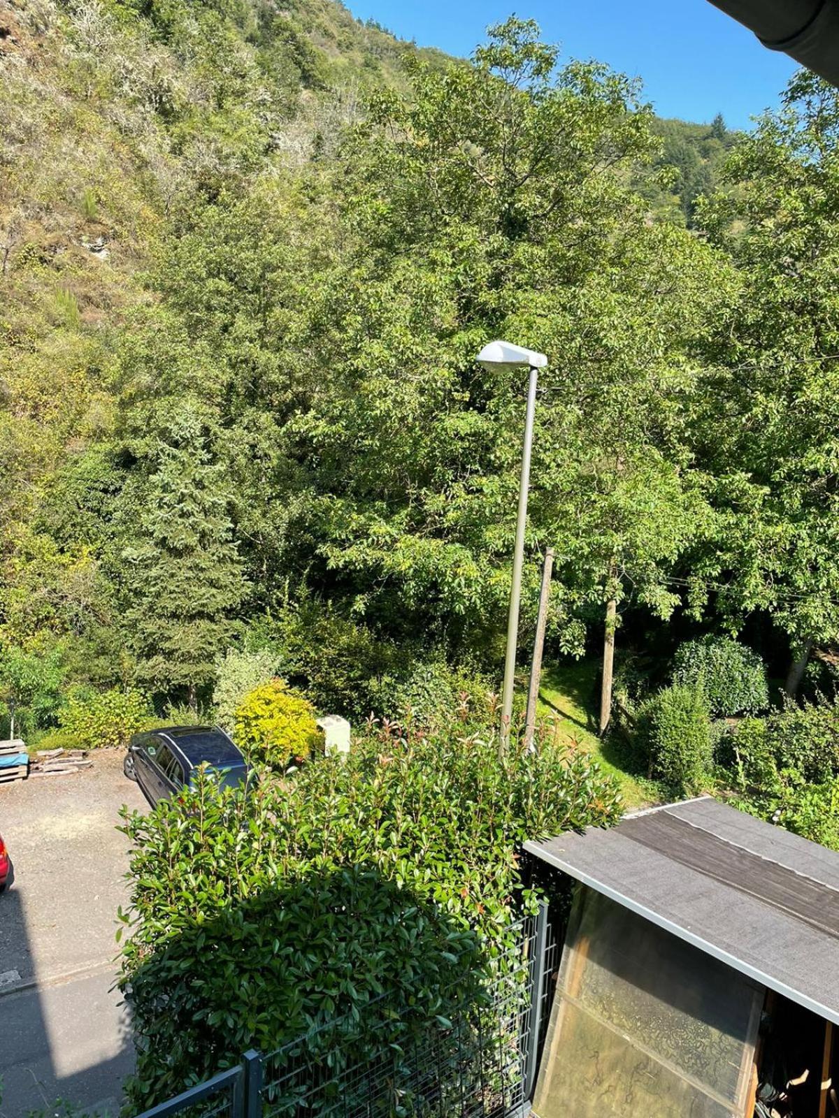 Deni'S Ferienwohnungen Klotten Exterior foto