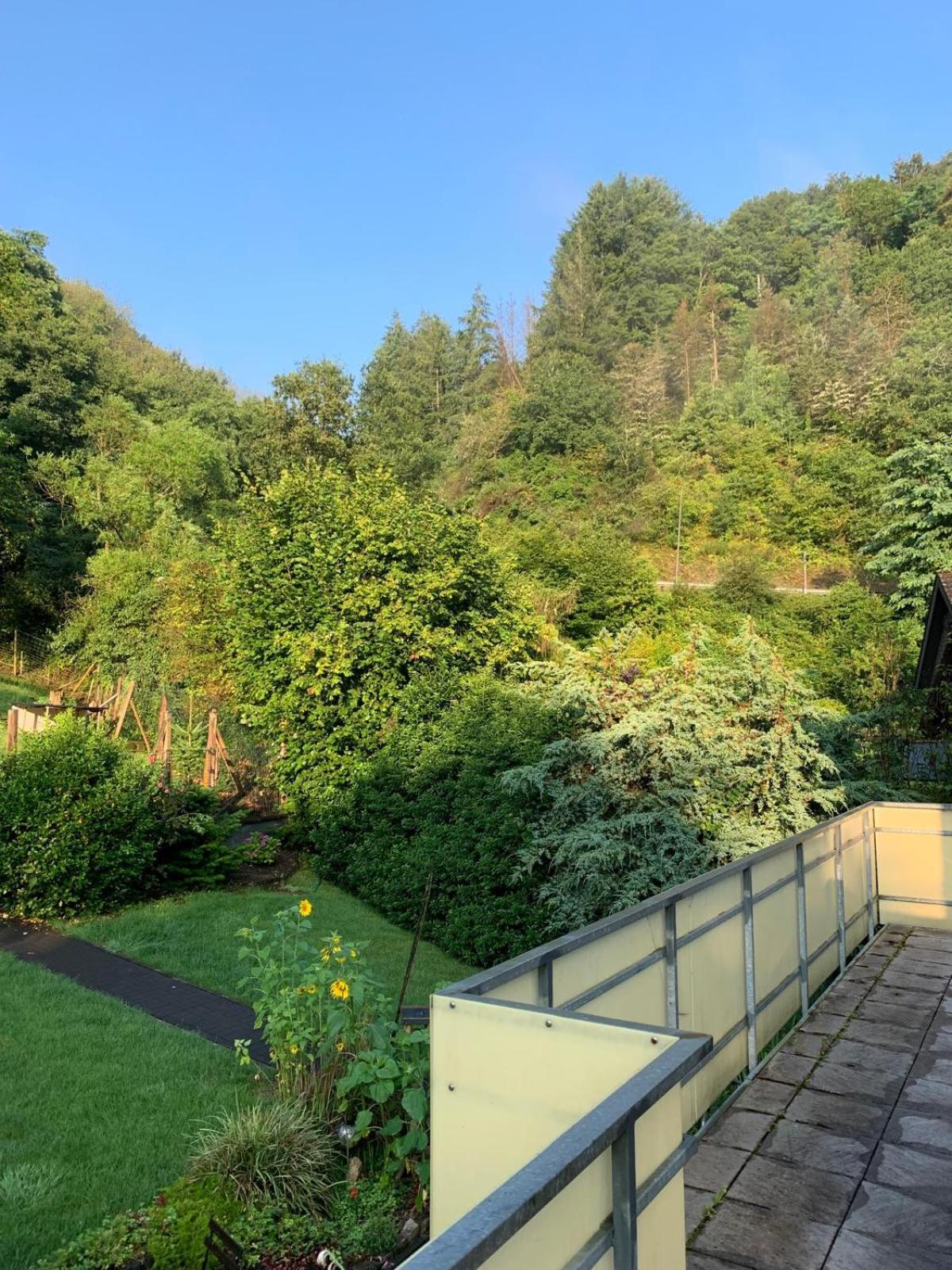 Deni'S Ferienwohnungen Klotten Exterior foto