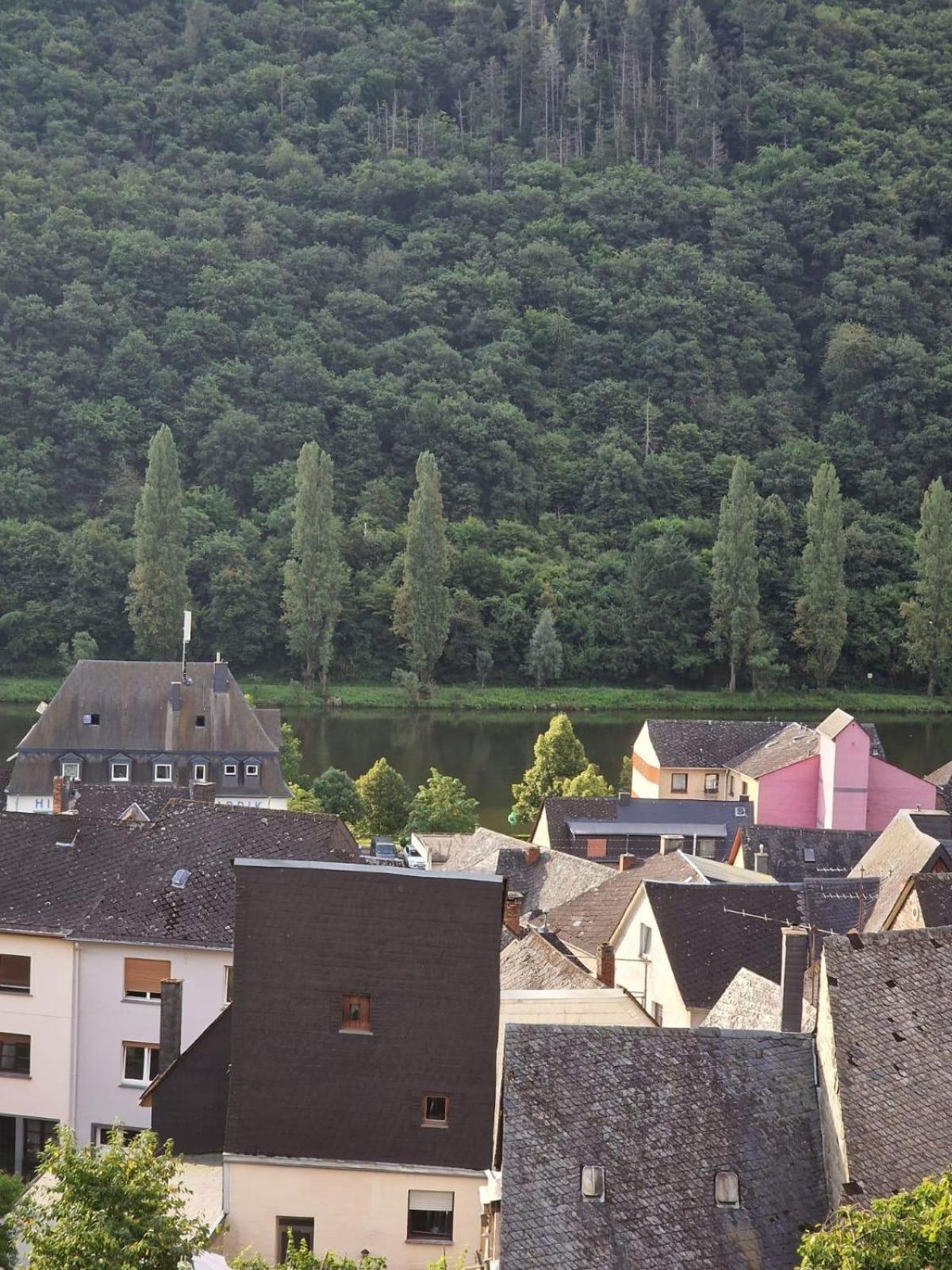 Deni'S Ferienwohnungen Klotten Exterior foto