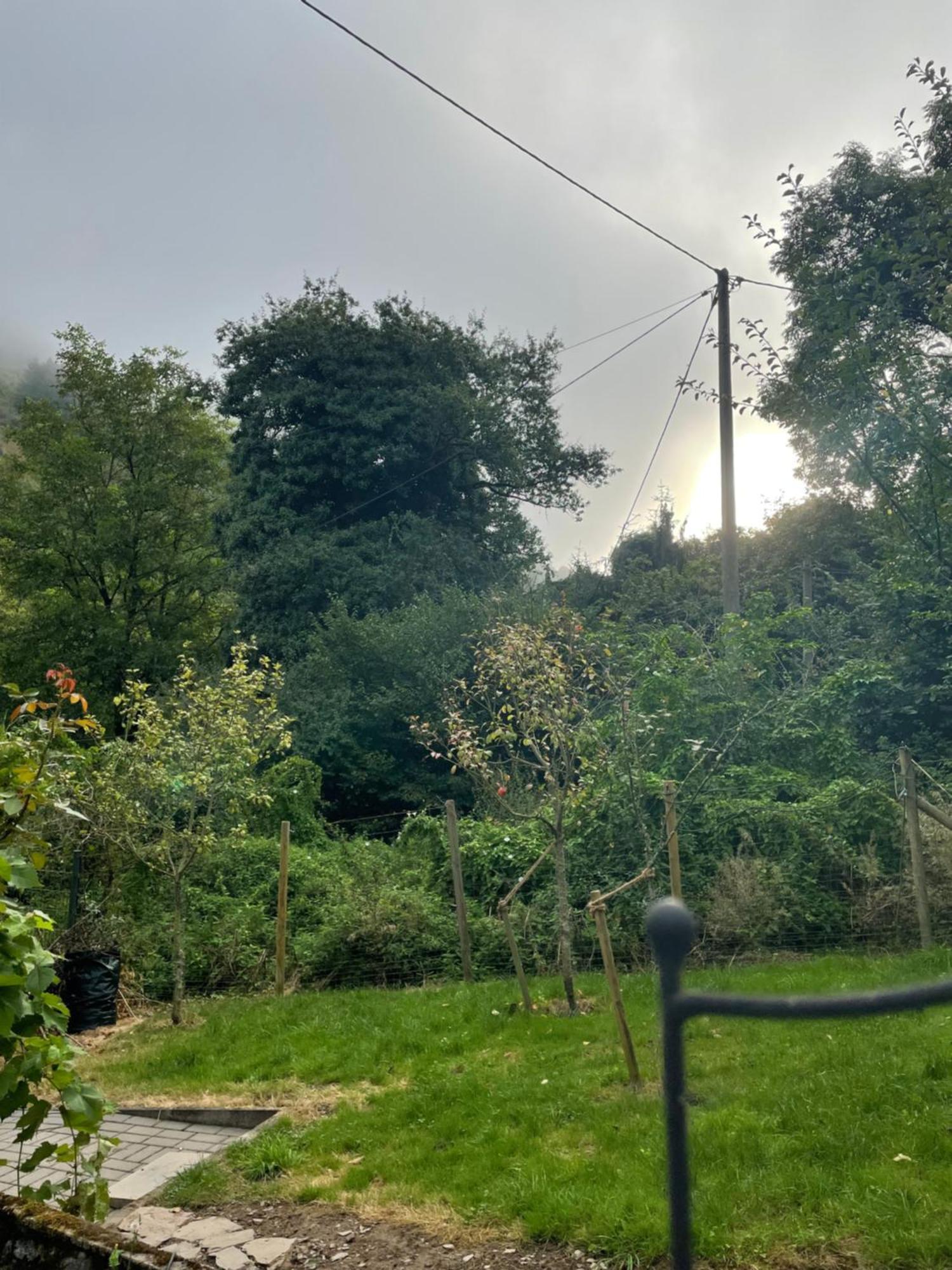Deni'S Ferienwohnungen Klotten Exterior foto