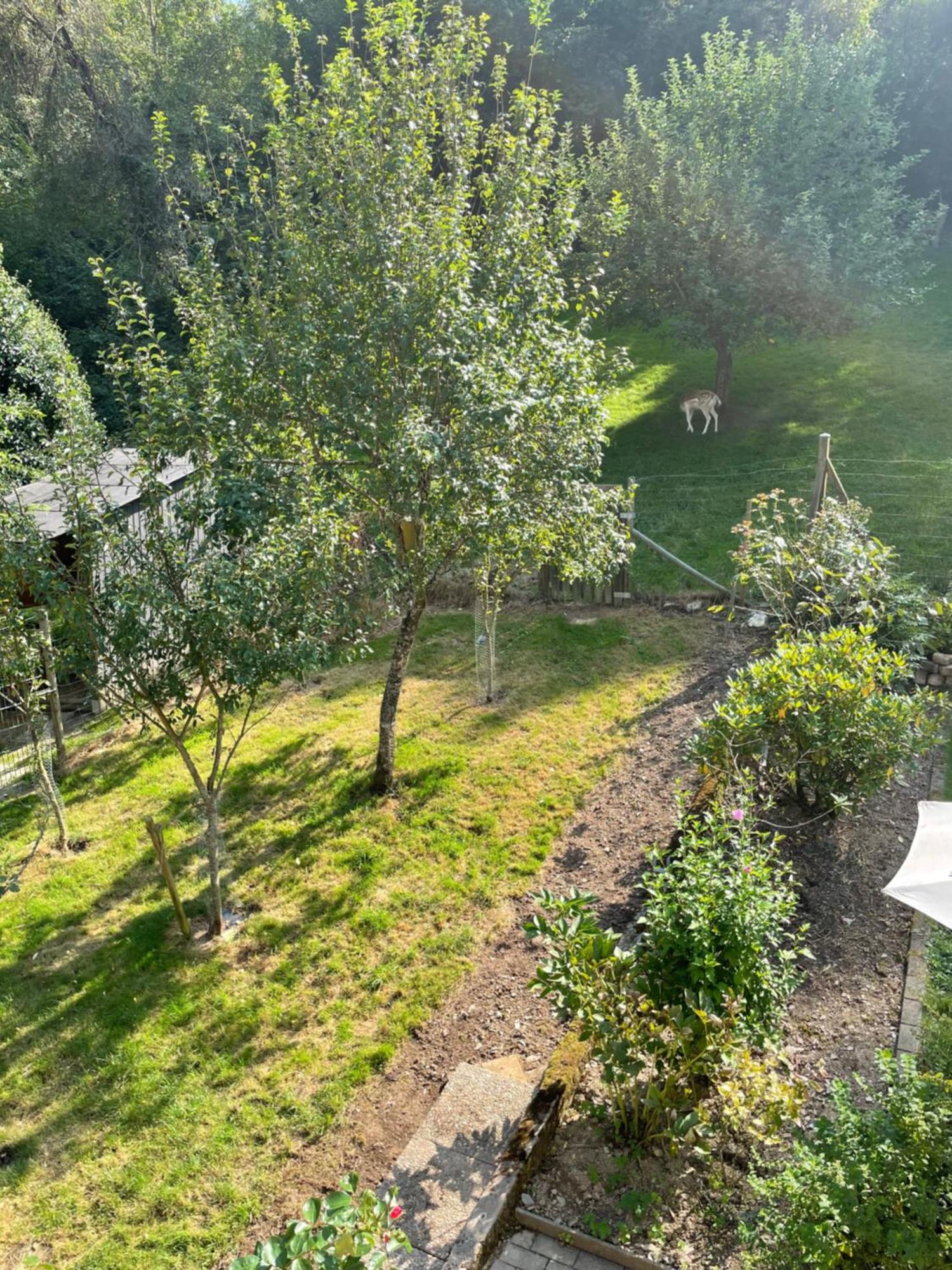 Deni'S Ferienwohnungen Klotten Exterior foto